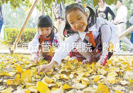 北京試管嬰兒醫(yī)院，附成功率、費(fèi)用