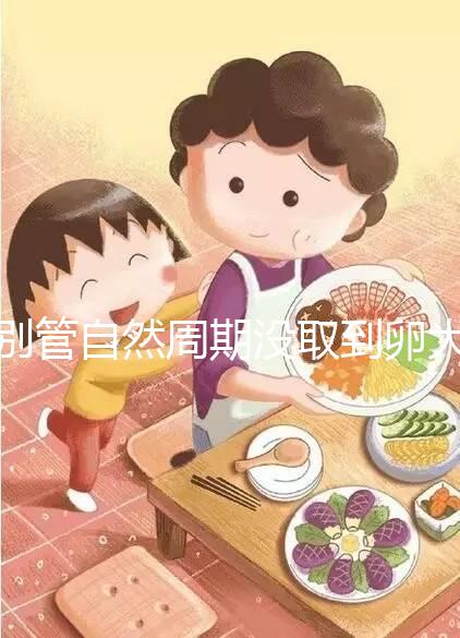 別管自然周期沒取到卵大夫當(dāng)時(shí)會(huì)不會(huì)說了，沒通知這么辦