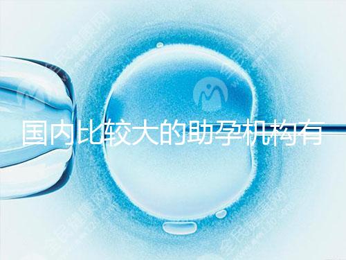 國內比較大的助孕機構有哪些？盤點2024中國正規助孕機構名單