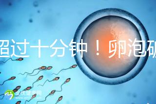 不超過十分鐘！卵泡破裂到輸卵管的時間，備孕必收藏