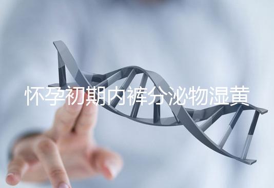 懷孕初期內(nèi)褲分泌物濕黃是男孩！5大原因?yàn)槟憬议_背后真相