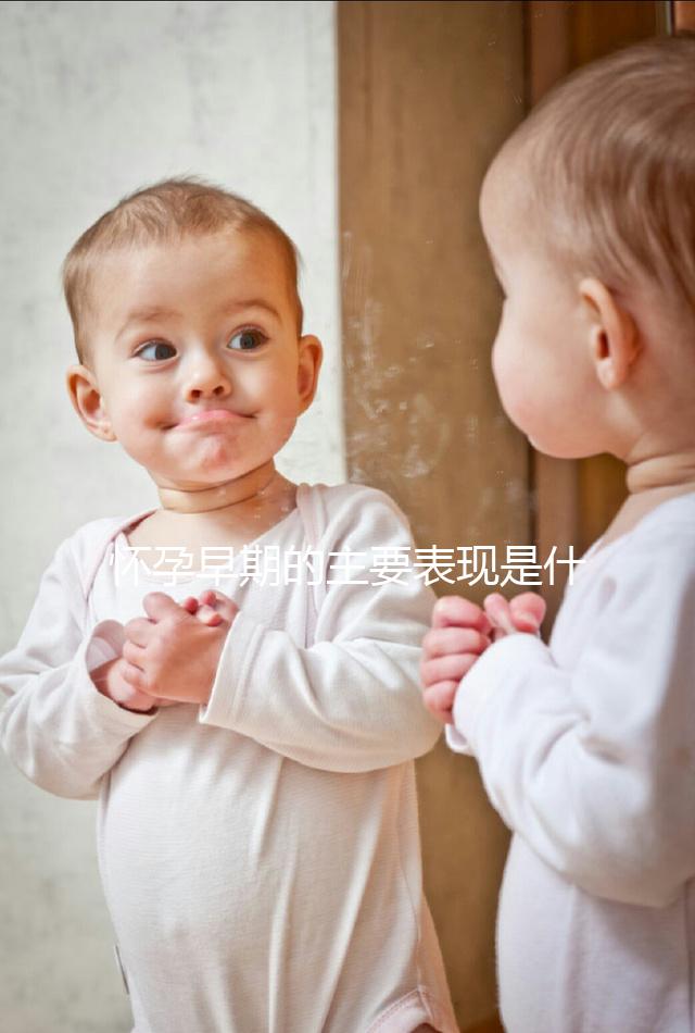 懷孕早期的主要表現是什么?