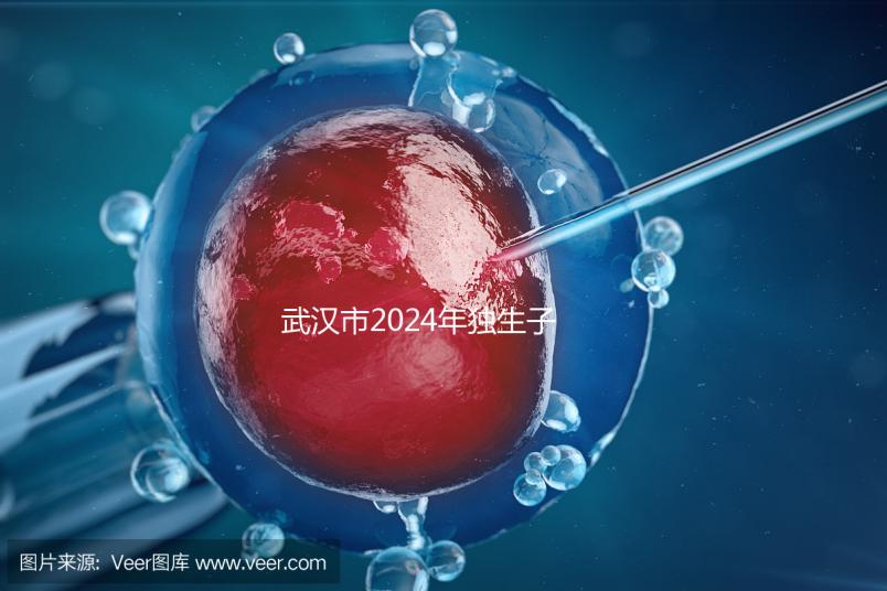 武漢市2024年獨生子女補貼政策已經實施，領取流程更加規范