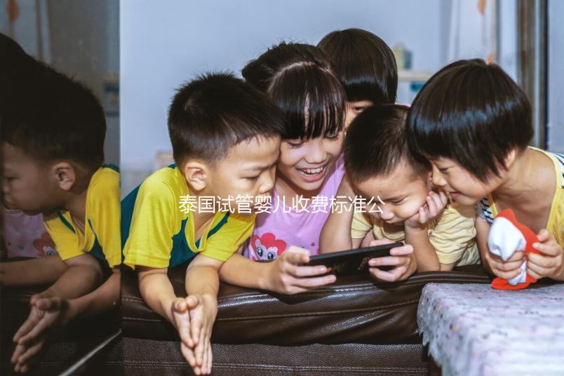 泰國試管嬰兒收費標準公布，藥品費用占大多數