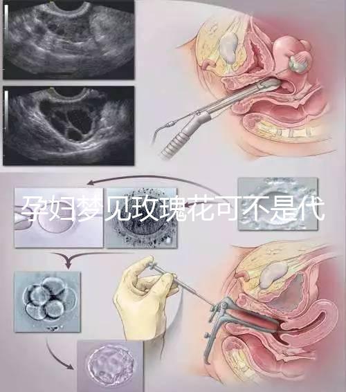 孕婦夢見玫瑰花可不是代表愛情!具體胎夢意思解讀