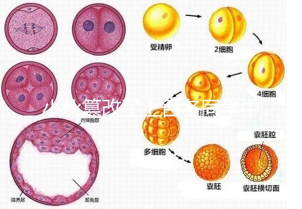 小伙篡改了上百名同學中考志愿，這些預防知識多么重要！