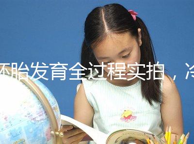 胚胎發(fā)育全過程實拍，冷凍胚胎移植后著床圖解（視頻）