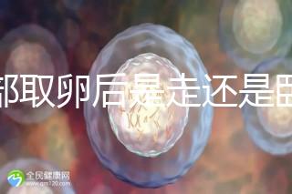 腹部取卵后是走還是臥床？適當(dāng)走路喝點紅豆水是正確做法