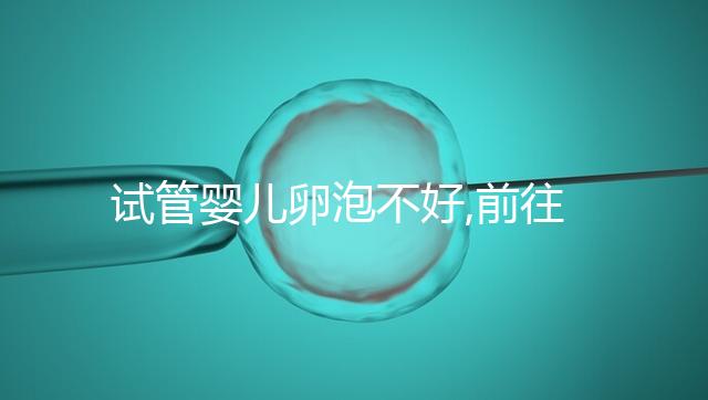 試管嬰兒卵泡不好,前往泰國助孕?相因告訴你這辦法靠譜