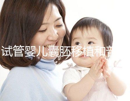 試管嬰兒囊胚移植和普通胚胎移植到底有什么不同？