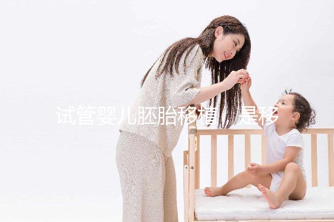 試管嬰兒胚胎移植,是移植第3天胚胎好還是囊胚好?