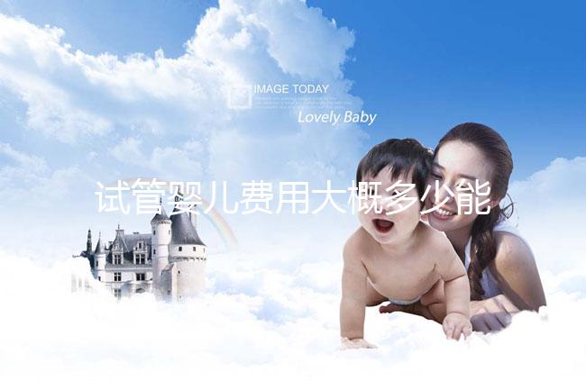 試管嬰兒費(fèi)用大概多少能報(bào)銷醫(yī)保(試管嬰兒費(fèi)用大概多少能報(bào)銷醫(yī)保啊)