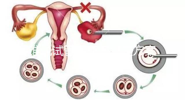 誰(shuí)說(shuō)試管空卵泡只是方案不對(duì),怎么回事看完一清二楚?