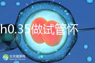 amh0.35做試管懷孕成功率多高？要看取卵數量、卵子質量